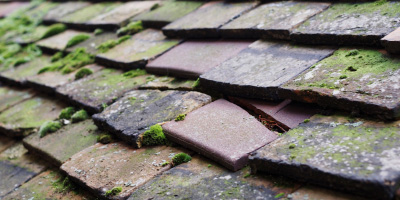 Whittlesey roof repair costs